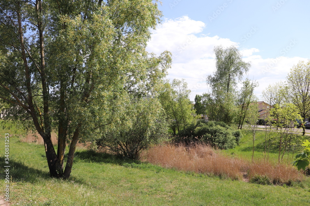 Le parc Bourlione à Corbas, grand espace vert - Ville de Corbas - Département du Rhône - France Le parc Bourlione à Corbas, grand espace vert - Ville de Corbas - Département du Rhône - France