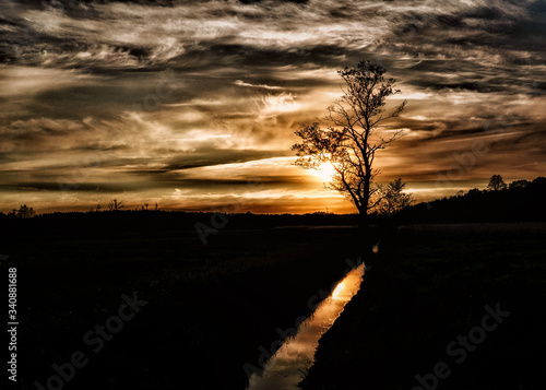 Sylwetki drzew podczas zachodu słońca © Krzysztof
