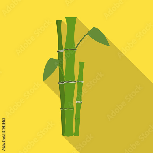 Vector design of bamboo and tree icon. Collection of bamboo and green stock vector illustration.