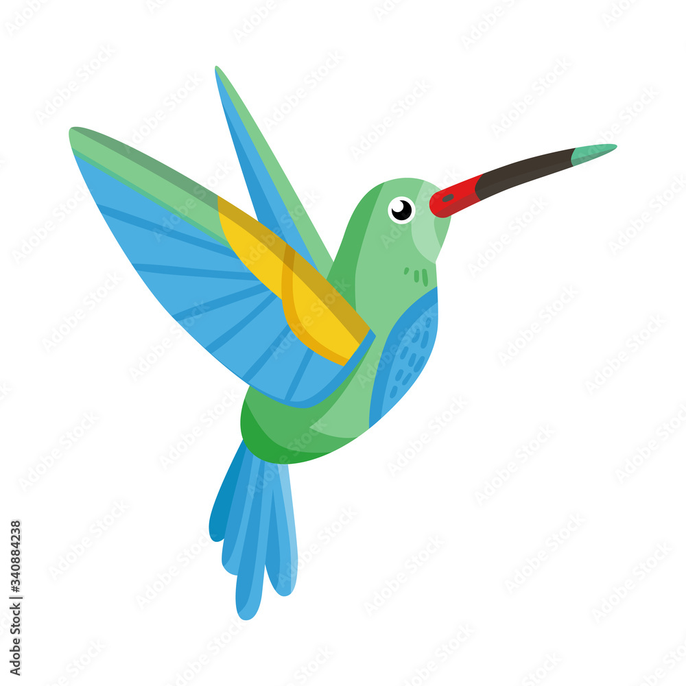 Obraz premium Vector illustration of hummingbird and bird icon. Set of hummingbird and flying stock symbol for web.