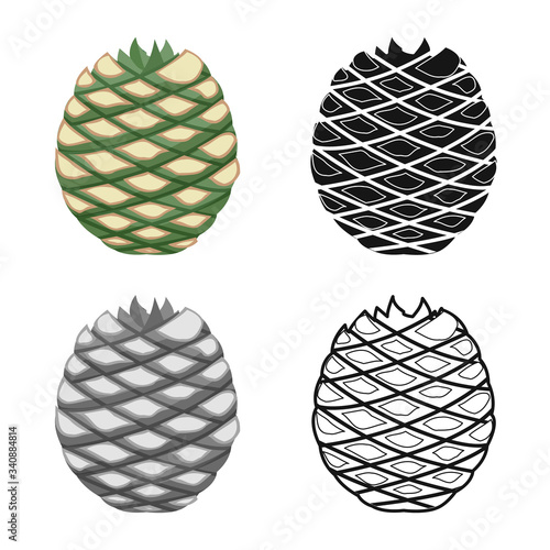 Isolated object of agave and tequila logo. Graphic of agave and blue vector icon for stock.