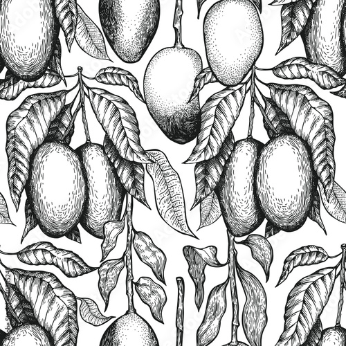Mango branches seamless pattern. Hand drawn vector tropic fruit illustration. Engraved style fruit banner. Vintage exotic food background.