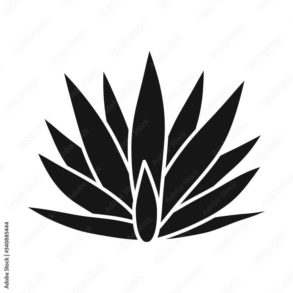 Isolated object of agave and tequila logo. Graphic of agave and blue