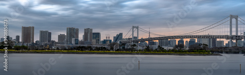 Landscape of Rainbow bridge and Tokyo skyline in the afternoon at Odaiba  Japan  Tokyo