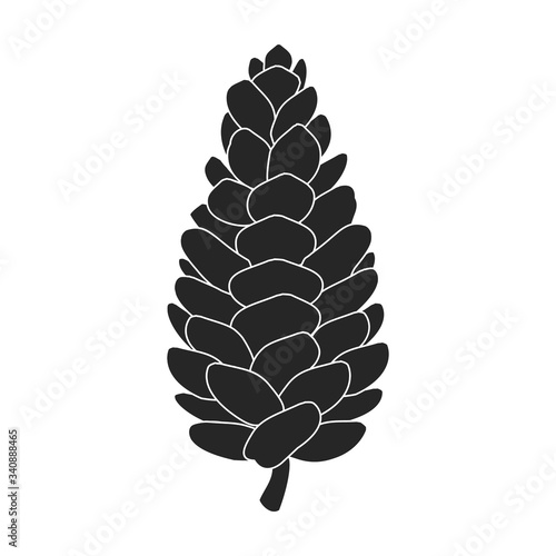 Pineof cone vector icon.Black vector icon isolated on white background pine of cone.