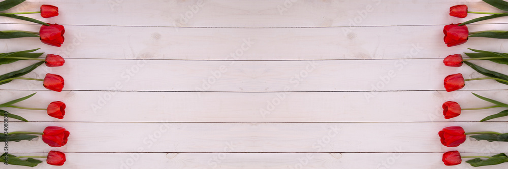 Two rows of fresh red tulips arranged in the sides of the white wooden background with copy space, top view. Holiday or Easter greeting card, background for mother's day and valentine's day Two rows of fresh red tulips arranged in the sides of the white wooden background with copy space, top view. Holiday or Easter greeting card, background for mother's day and valentine's day