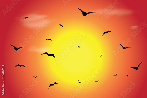 Vector silhouette of flying birds at sunset. Symbol of nature. © majivecka
