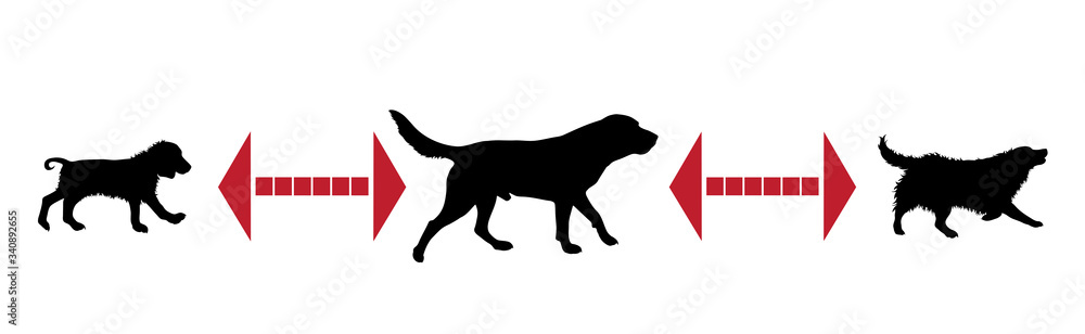 Vector silhouette of keep distance with different dogs.