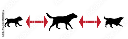 Vector silhouette of keep distance with different dogs.