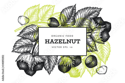 Hand drawn sketch hazelnut design template. Organic food vector illustration on white background. Vintage nut illustration. Engraved style botanical background.