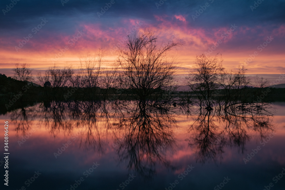 Dusk with spectacular cloudy sky, from a lake with the silhouette of some bushes in the foreground and their reflections. Symmetrical landscape.
