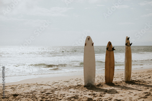 Three surfboards no people photo
