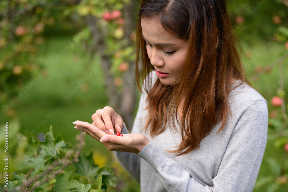 Young beautiful Asian woman harvesting fresh berries in nature Young beautiful Asian woman harvesting fresh berries in nature