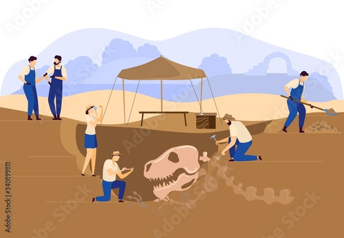 Archaeologists paleontologist excavation or digging soil with dinosaur skull and skeleton discovery vector illustration. Archaelogy excavation people , archaelogical artifacts search.