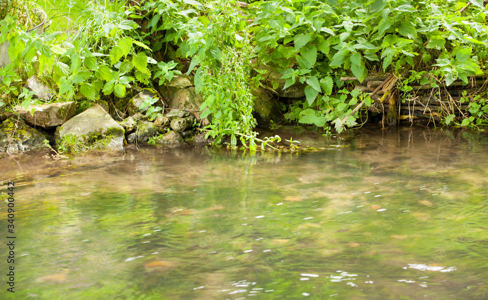 small wild stream with its free and green vegetation small wild stream with its free and green vegetation