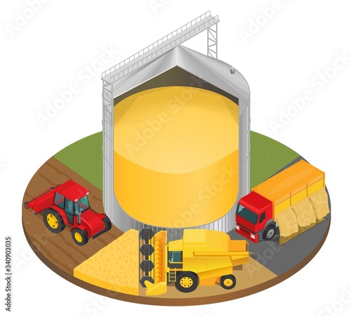 Vector illustration stages of grain harvesting, silo with grain, granary. Red tractor, combine, truck. Isometry