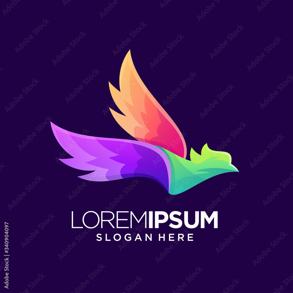 bird nature animal beautiful vector bird nature animal beautiful vector