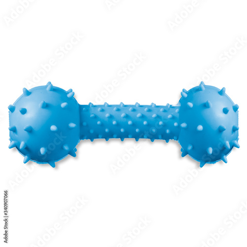 blue dog chew toy photo