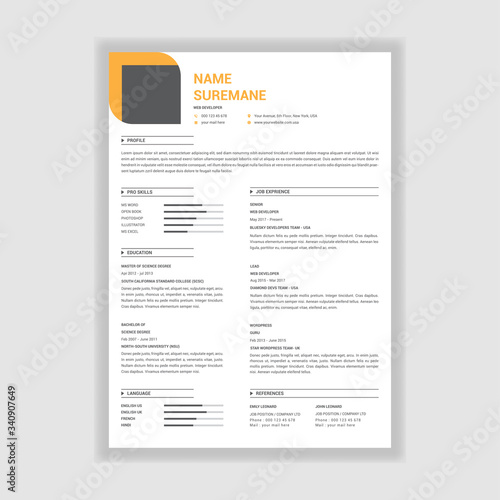 Elegant style resume design vector template