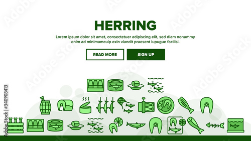 Herring Marine Fish Landing Web Page Header Banner Template Vector. Herring Sliced Piece And Fillet, Skeleton And Carcass, Cooked And Frozen, Package And Box Illustrations