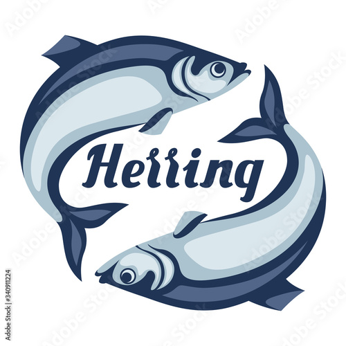 Illustration of herring fish. Pacific sardine.