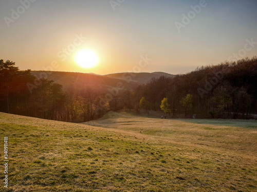 Early spring sunset in the woods of Wienerwald