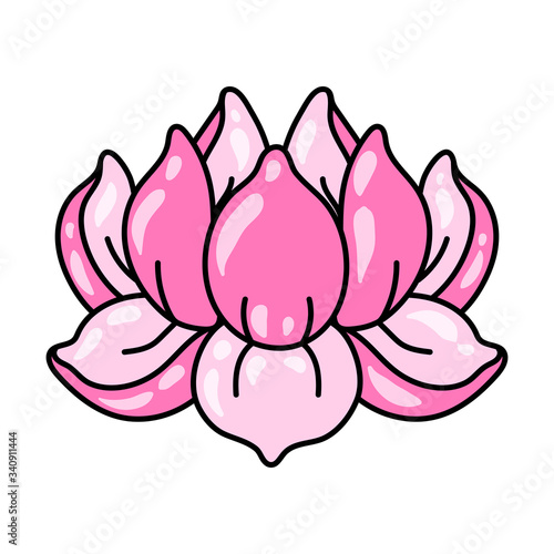 Illustration of lotus flower. Water lily decorative image.
