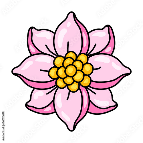 Illustration of lotus flower. Water lily decorative image.