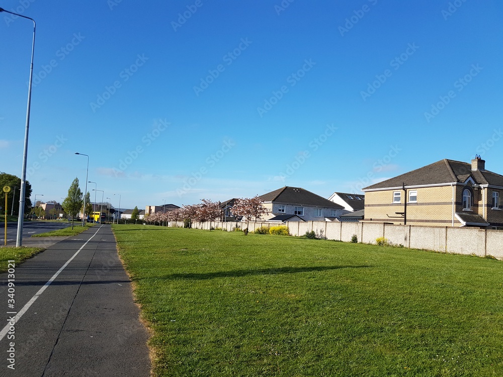 STREET VIEW WITH TREE AND BUILDINGS 