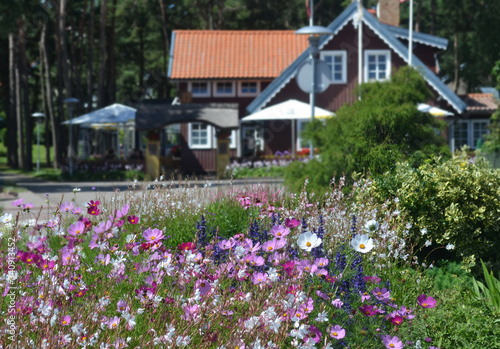 Bright flowers with beautiful wooden houses on the background