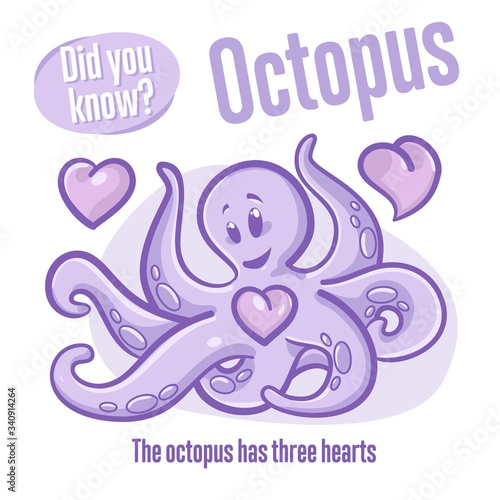 Octopus. Interesting facts about sea animals. Did you know?