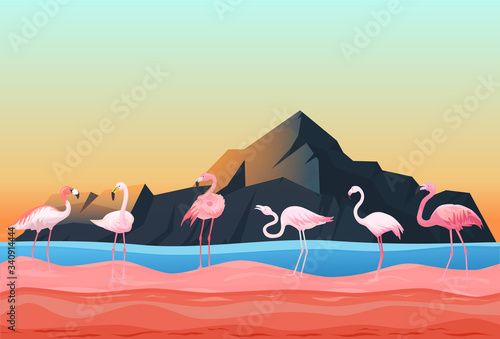 Animal flamingo place, natural landscape flat vector illustration. Beautiful poultry stand shallow water river, rock mountain background. Flock pink flamingos rest feed, tropical migratory bird.