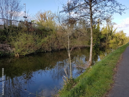 Podobny obraz