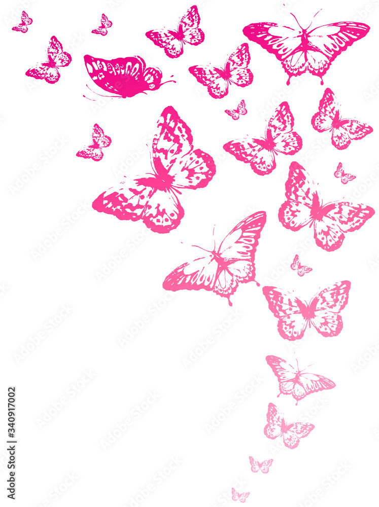 Naklejka premium butterfly541