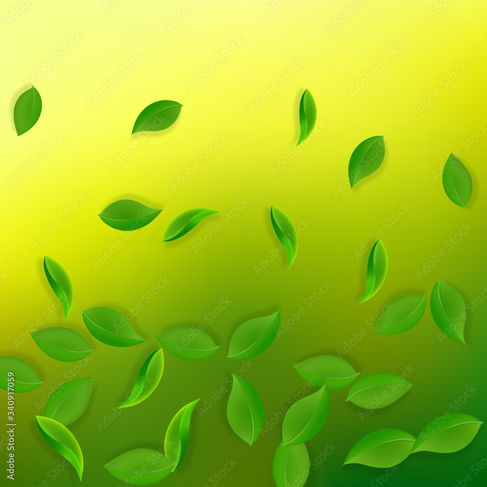 Falling green leaves. Fresh tea neat leaves flying Falling green leaves. Fresh tea neat leaves flying