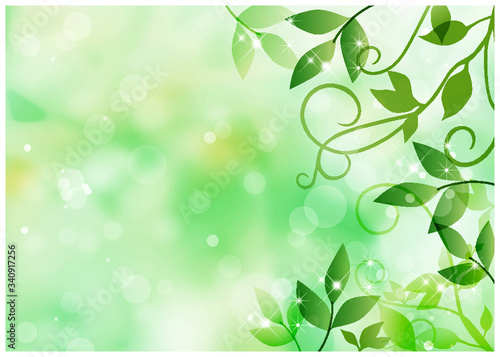 新緑　グリーン背景