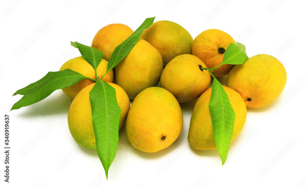 Alphonso Mangoes with leaves