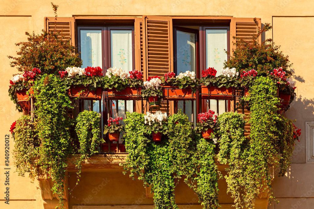 Fototapeta premium green balcony on a summer day