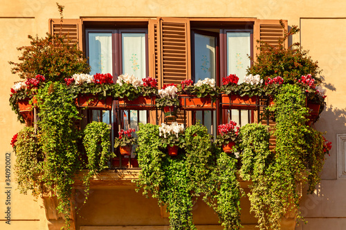 Fototapeta Naklejka Na Ścianę i Meble -  green balcony on a summer day