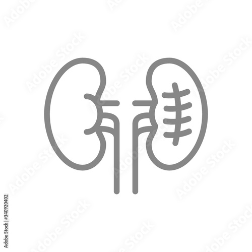 Scar on kidney line icon. Kidneys stone removal, internal organ surgery symbol