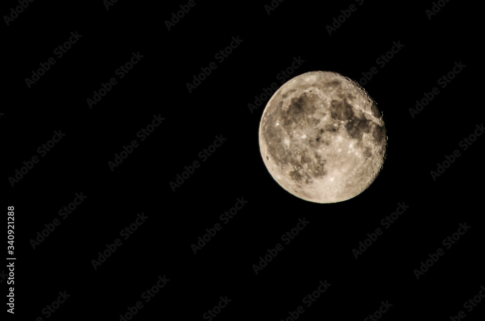 Fototapeta premium luna piena