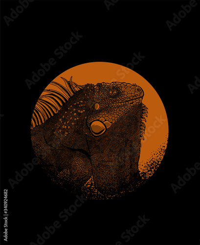 Detailed lizard iguana pet-vector illustration art.