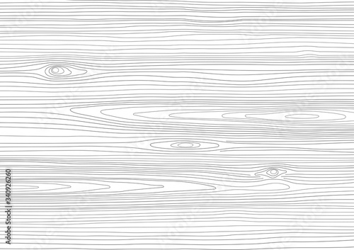 Wood Texture White Oak Effect Vector Illustration Background
