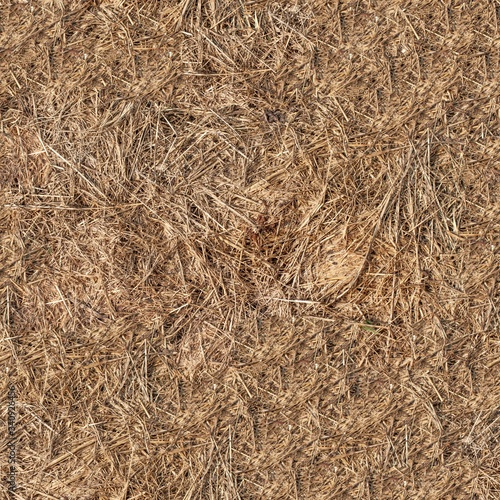 Seamless dry grass hay texture