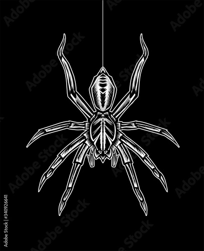 Vector illustration spider insect on black background.