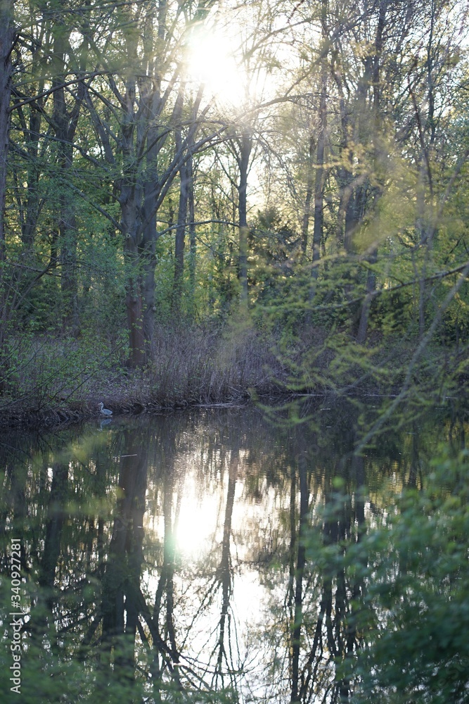 Obraz premium Pond at city park with heron at dusk, Tiergarten, Berlin, Germany