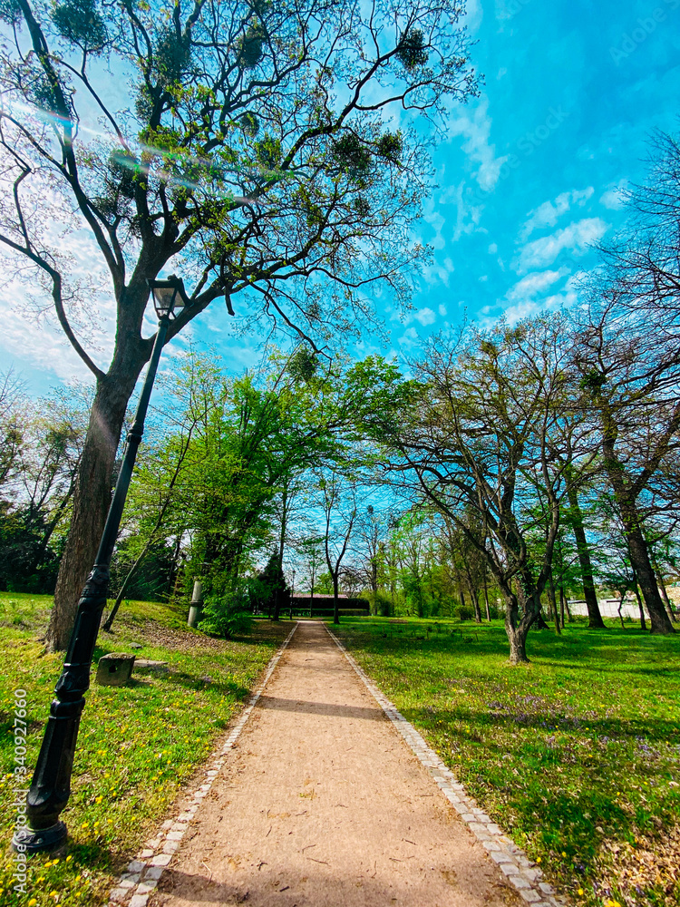 Spring long walk in the park at the weekend. Spring long walk in the park at the weekend.