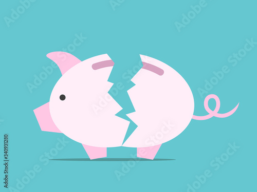 Broken empty piggy bank