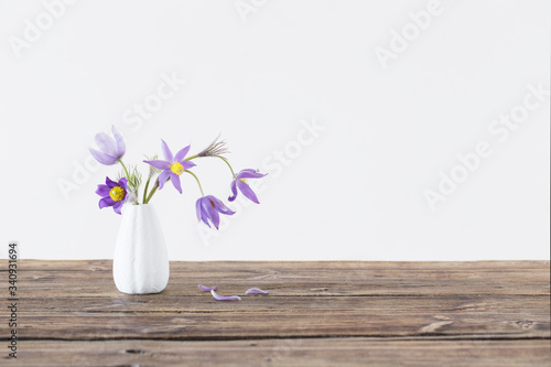 pasque-flower in vase on white background .