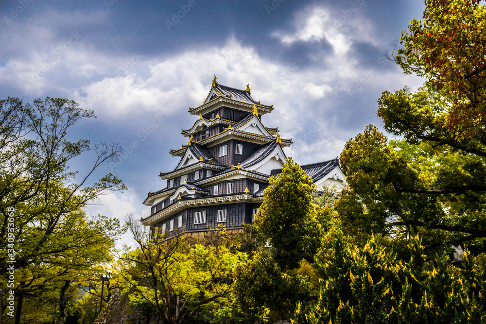 Majestic Okayama castle surrounded by spring green trees, Japan Majestic Okayama castle surrounded by spring green trees, Japan